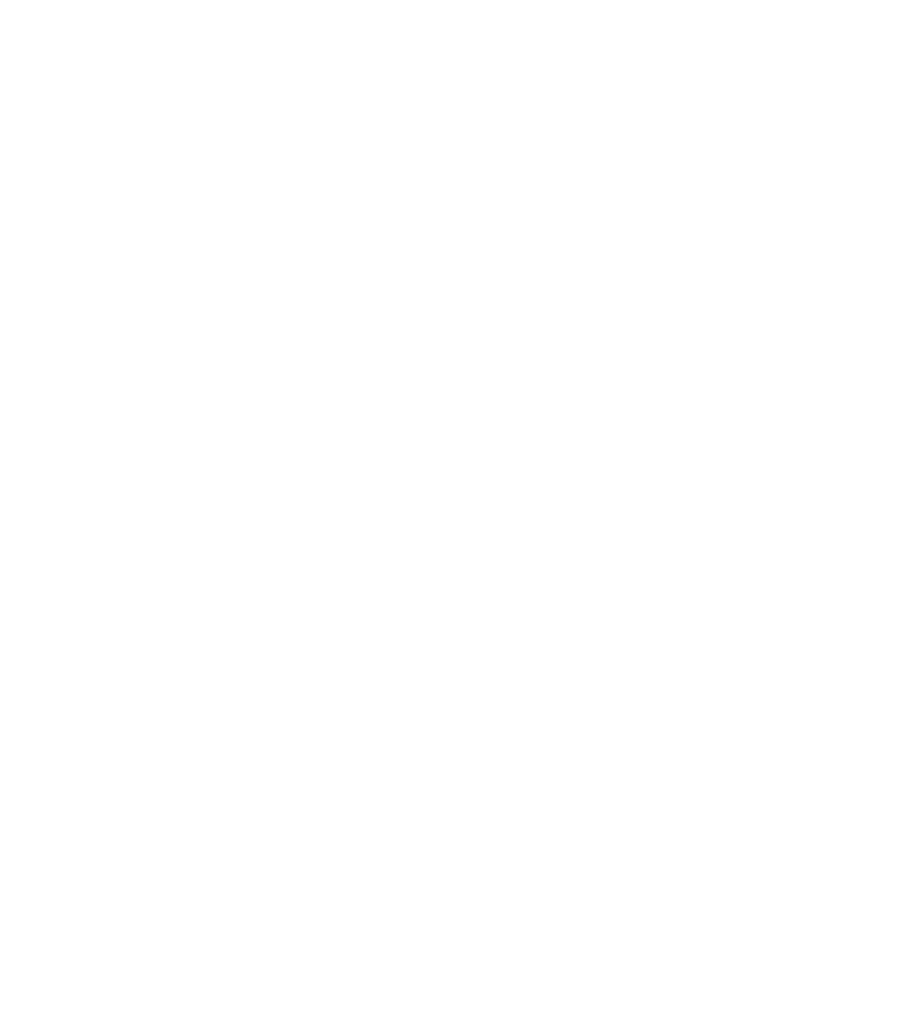 Skillzy Academy